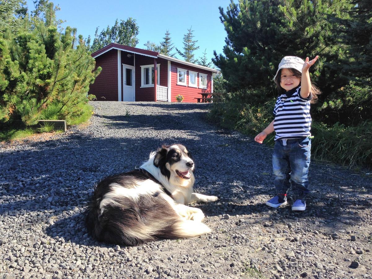 Klara's Lodge