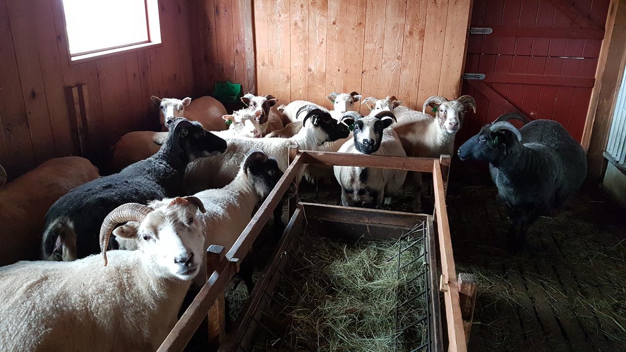 Klara's Lodge